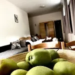 Fakanalas Fogado *