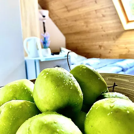 Fakanalas Fogado Mini-hôtel Pásztó