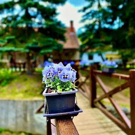 Fakanalas Fogado Locanda *