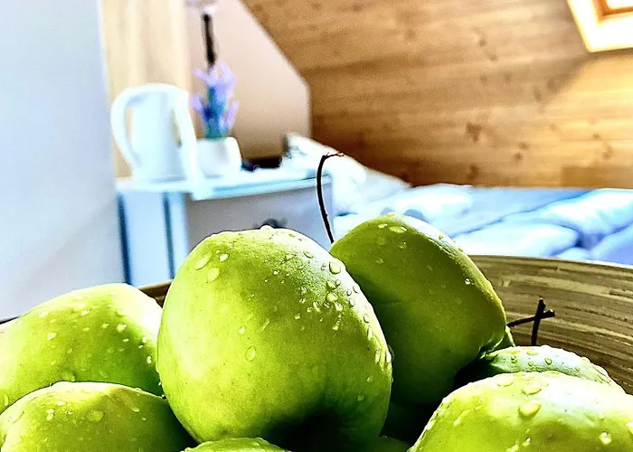 Fakanalas Fogadó Pásztó