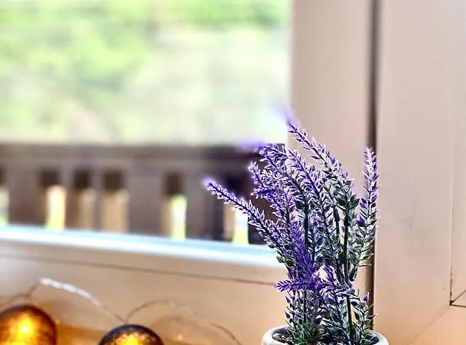 宾馆 Fakanalas Fogado *