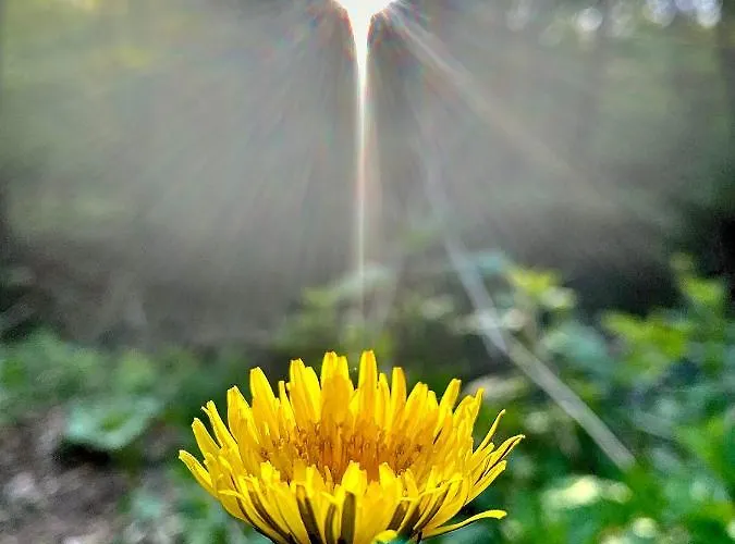 宾馆 Fakanalas Fogado Pásztó