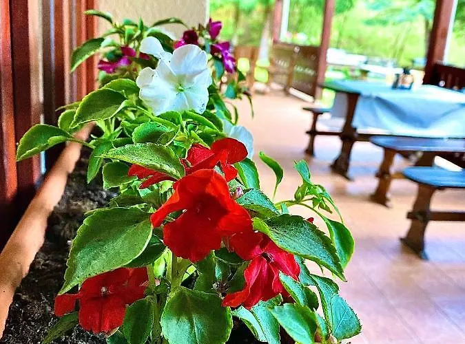 Fakanalas Fogado Pásztó