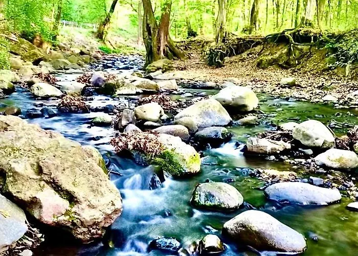 Fakanalas Fogado 宾馆