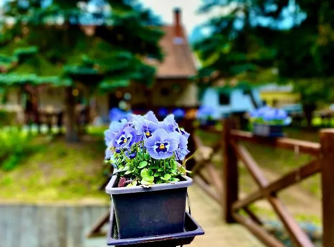 Fakanalas Fogado 宾馆 *