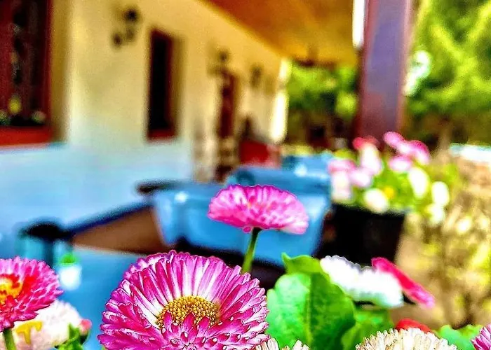 宾馆 Fakanalas Fogado Pásztó