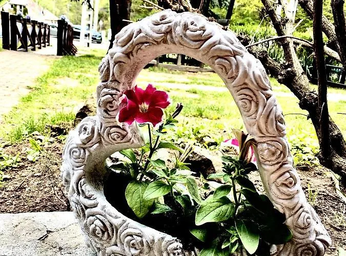 宾馆 Fakanalas Fogado *